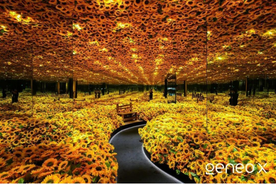 A11 科醫(yī)人Geneo X攜手 梵高再現(xiàn)Van Goth Alive 科技與藝術美學的完美跨界319.png